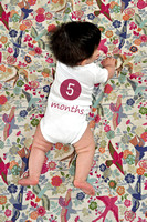 5 Months